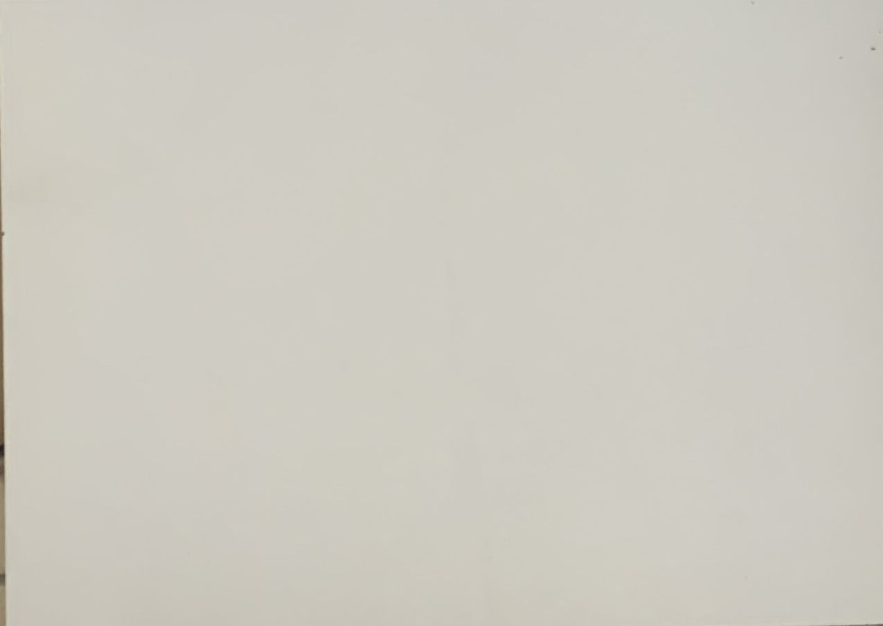 اخشاب تشيبورد ايطالي - BIANCO UNICE -501